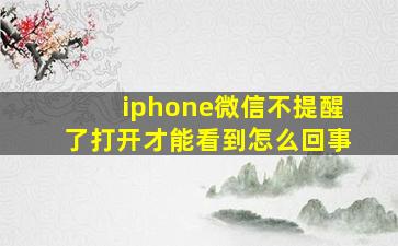 iphone微信不提醒了打开才能看到怎么回事