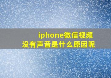 iphone微信视频没有声音是什么原因呢