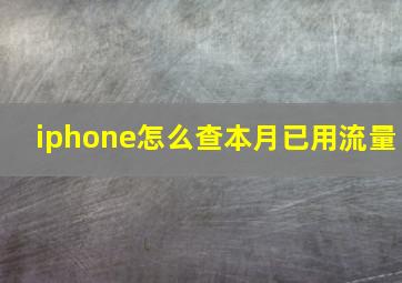 iphone怎么查本月已用流量