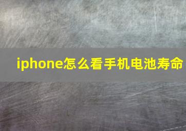 iphone怎么看手机电池寿命