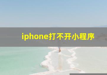 iphone打不开小程序