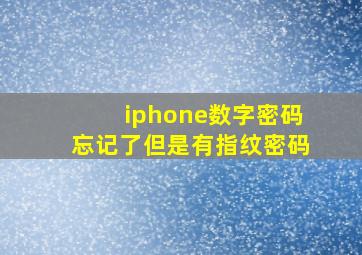 iphone数字密码忘记了但是有指纹密码