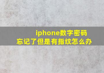 iphone数字密码忘记了但是有指纹怎么办