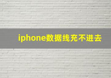 iphone数据线充不进去