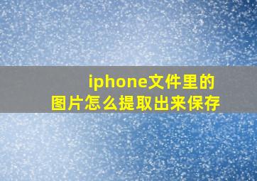 iphone文件里的图片怎么提取出来保存