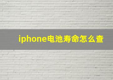 iphone电池寿命怎么查