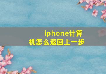 iphone计算机怎么返回上一步