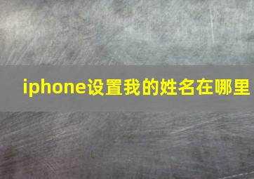 iphone设置我的姓名在哪里