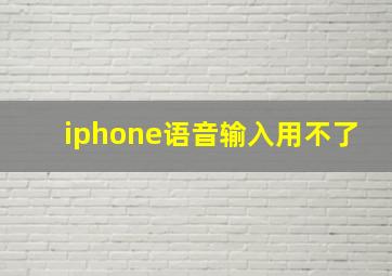 iphone语音输入用不了