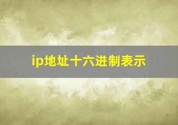 ip地址十六进制表示