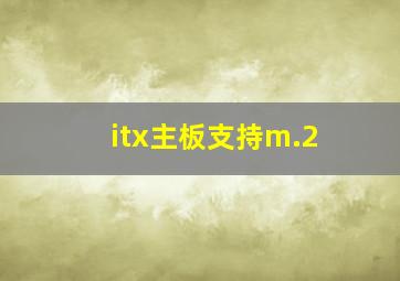 itx主板支持m.2