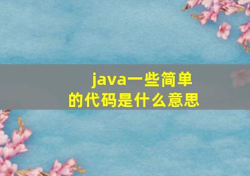 java一些简单的代码是什么意思