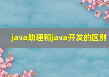 java助理和java开发的区别