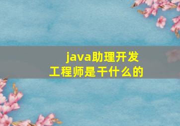 java助理开发工程师是干什么的