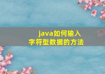 java如何输入字符型数据的方法