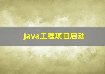 java工程项目启动