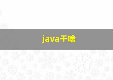 java干啥