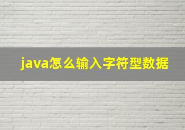 java怎么输入字符型数据