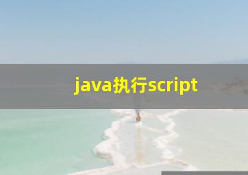 java执行script