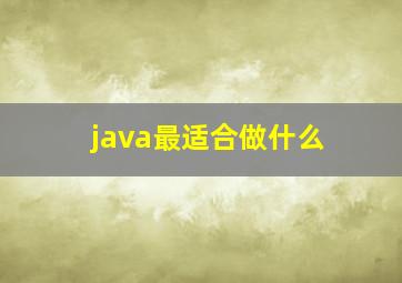 java最适合做什么