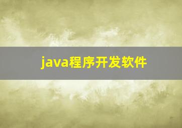 java程序开发软件