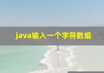 java输入一个字符数组