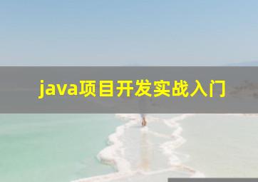 java项目开发实战入门