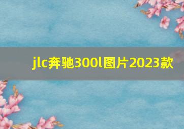 jlc奔驰300l图片2023款