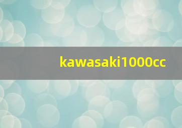 kawasaki1000cc