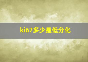 ki67多少是低分化