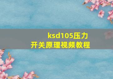 ksd105压力开关原理视频教程