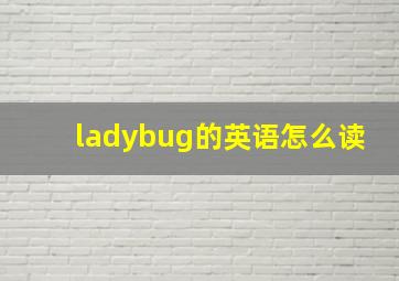 ladybug的英语怎么读