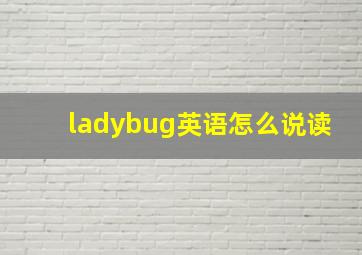 ladybug英语怎么说读