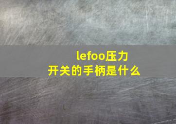 lefoo压力开关的手柄是什么