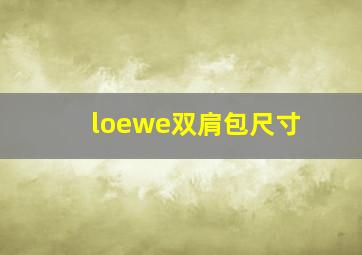 loewe双肩包尺寸