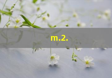 m.2.