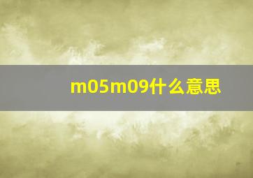 m05m09什么意思