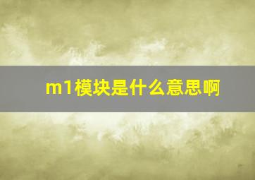 m1模块是什么意思啊