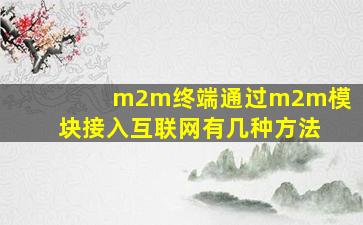 m2m终端通过m2m模块接入互联网有几种方法