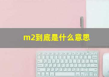 m2到底是什么意思