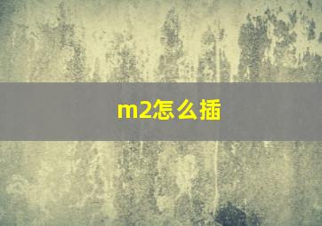 m2怎么插