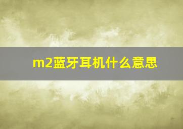 m2蓝牙耳机什么意思