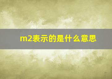 m2表示的是什么意思