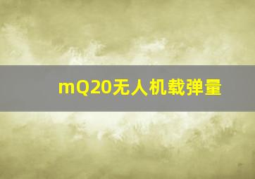 mQ20无人机载弹量