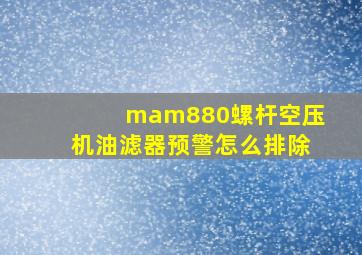 mam880螺杆空压机油滤器预警怎么排除