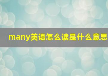 many英语怎么读是什么意思