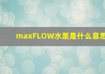 maxFLOW水泵是什么意思