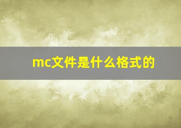 mc文件是什么格式的