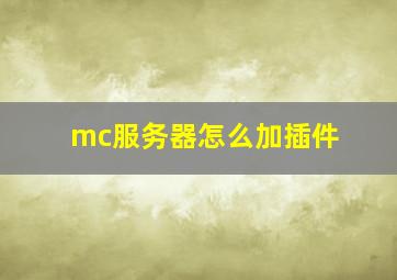 mc服务器怎么加插件