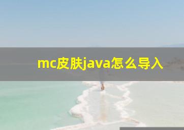 mc皮肤java怎么导入